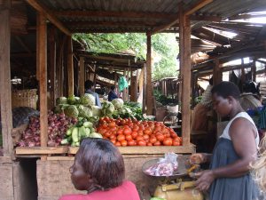 MINOLTA DIGITAL CAMERA