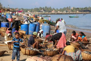 20140407031119_IMG_9257