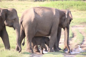 20140410104307_IMG_9888