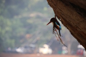 20140413033755_IMG_0446