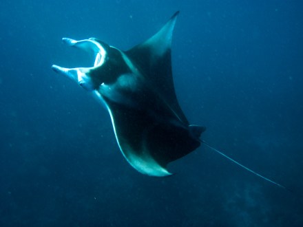 p20120203-15-12-hk-3