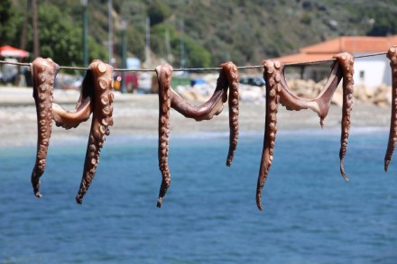 20140531120402_IMG_9736