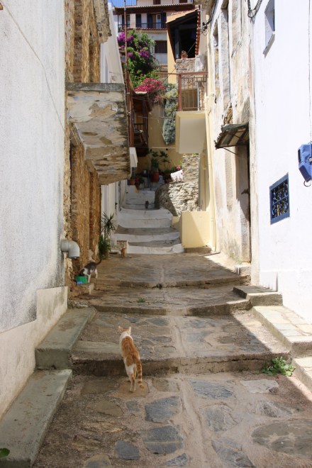 20140601113654_IMG_9865