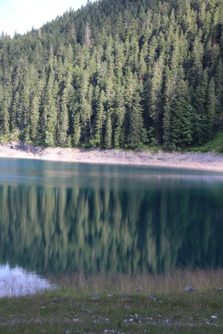 20140729151905_IMG_1089