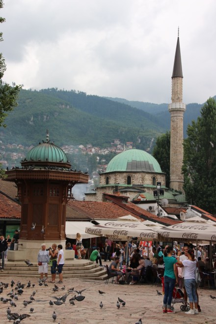 20140801120108_IMG_1351