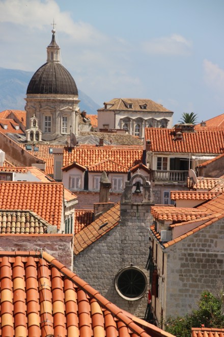 20140805115357_IMG_2115