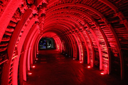 20141013145600_IMG_4305