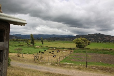 20141013173141_IMG_4378