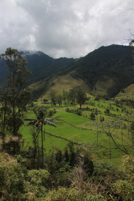 20141016155057_IMG_4966