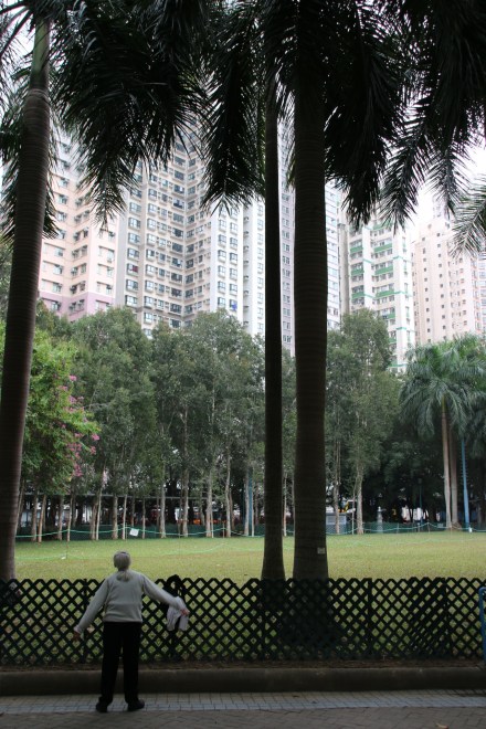 20141215045206_IMG_6171