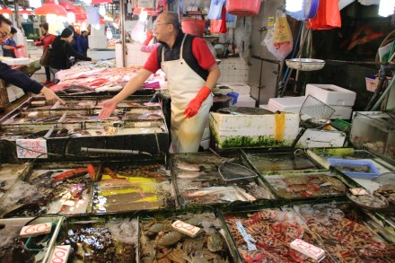 20141216063327_IMG_6802