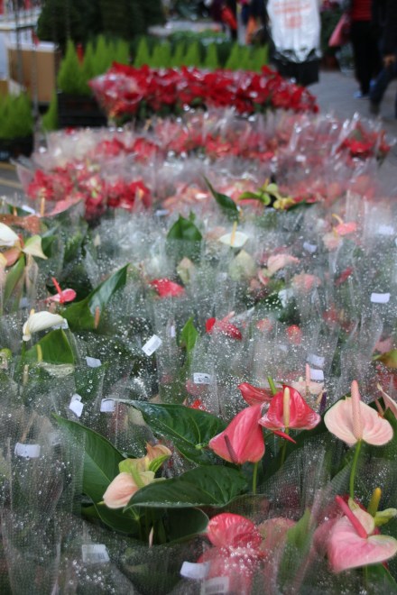 20141216071223_IMG_6877