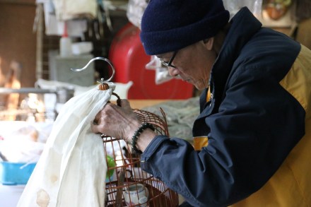 20141216073042_IMG_6920