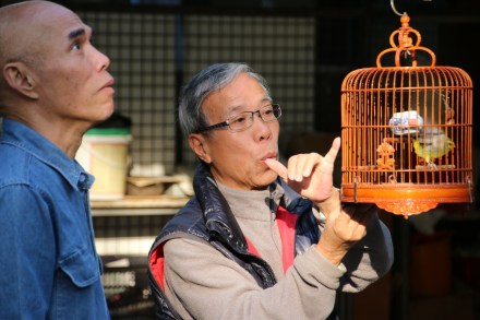 20141216074906_IMG_6997