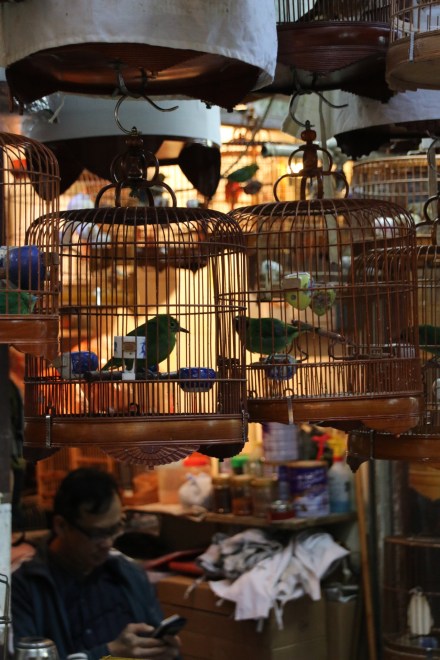 20141216080213_IMG_7036