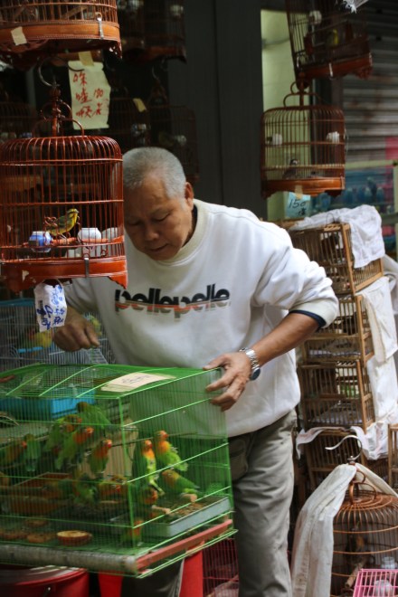 20141216075922_IMG_7024