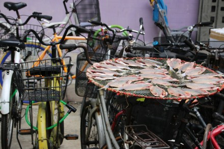 20141218051703_IMG_7579