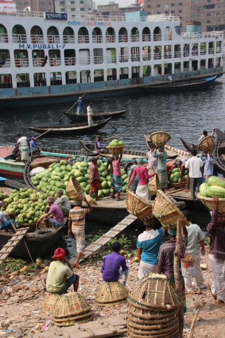 20150318035456_IMG_8964