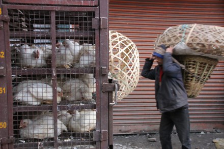 20150323004457_IMG_0554