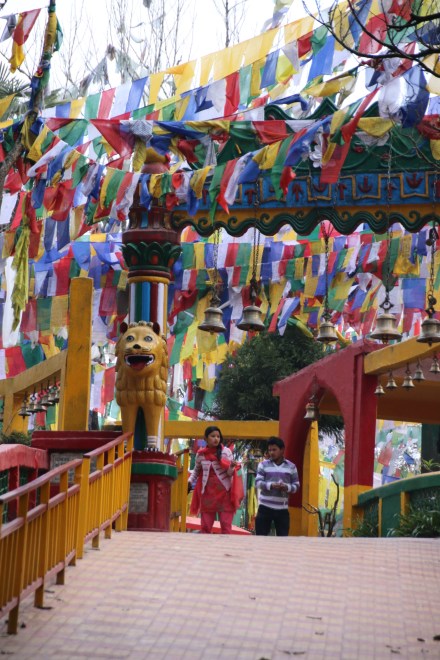 20150323012123_IMG_0603