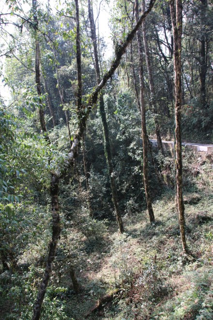 20150325035741_IMG_1332