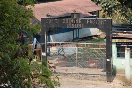 20150325045454_IMG_1352