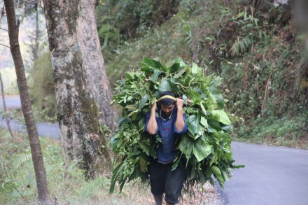 20150326030604_IMG_1504