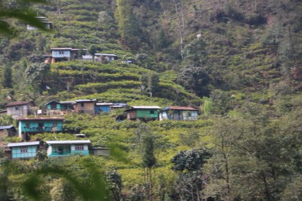 20150326035240_IMG_1552