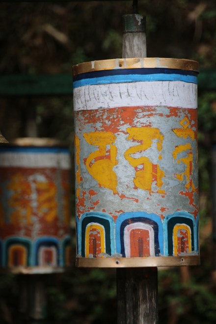 20150326043105_IMG_1593