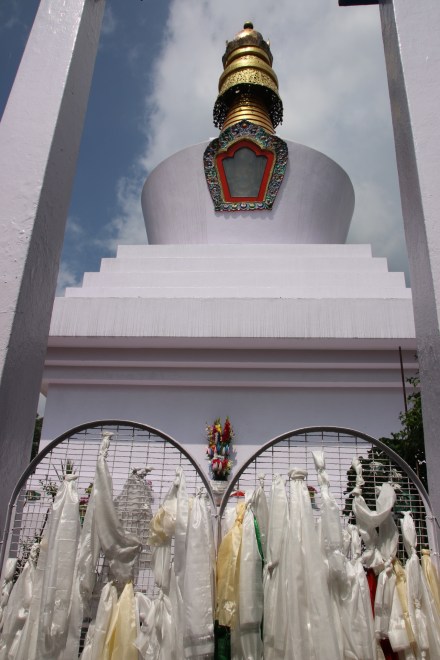 20150328074652_IMG_2074