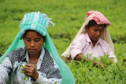 20150330043802_IMG_2229