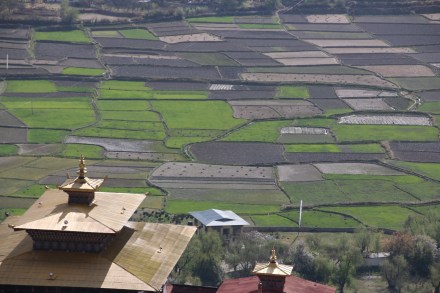 20150403093322_IMG_4143