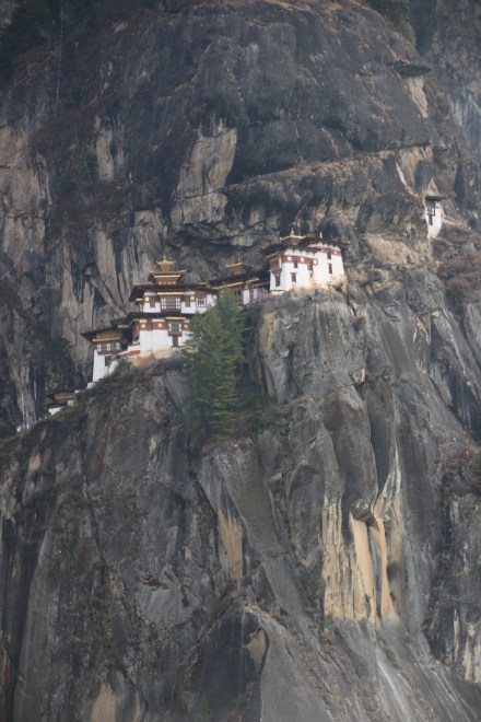 20150404025214_IMG_4263