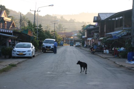 20151109235525_IMG_0600