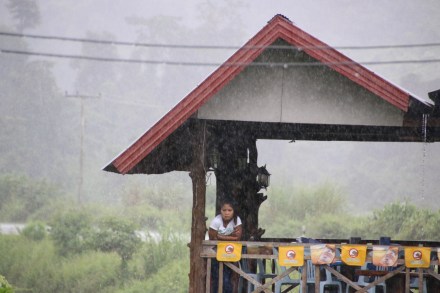 20151110065651_IMG_0814