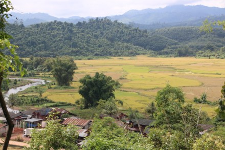 20151111035332_IMG_1009