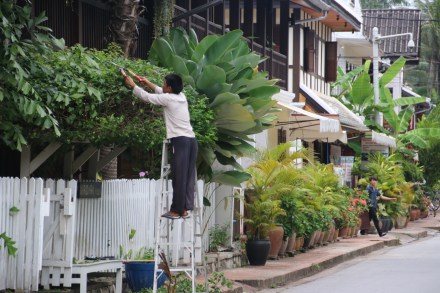 20151114025852_IMG_1551