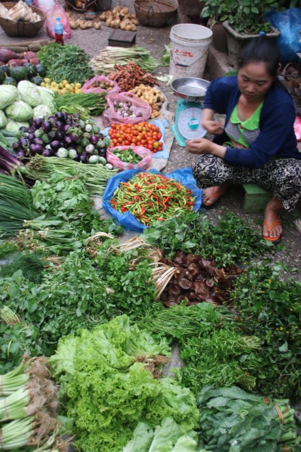 20151114234909_IMG_1982