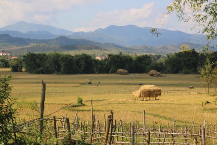 20151117040008_IMG_2239