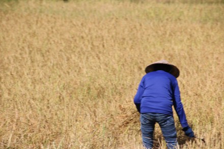 20151121030406_IMG_3005