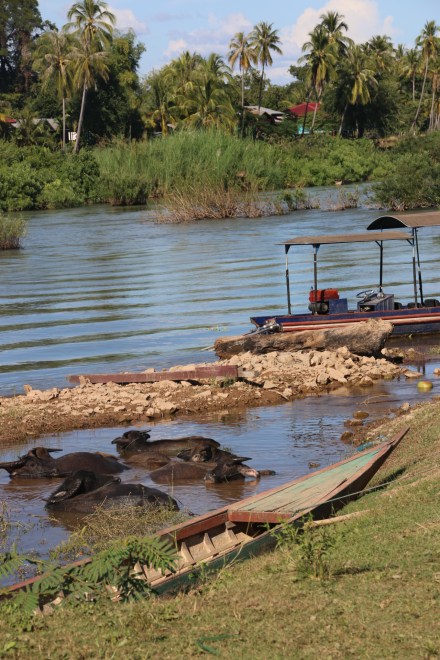 20151121073938_IMG_3071