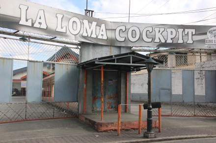 20160208013410_IMG_3431