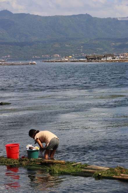 20160210024151_IMG_3965