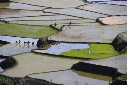 20160214071228_IMG_4779