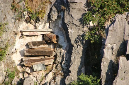 20160214085959_IMG_4803