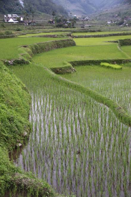 20160215074602_IMG_5048