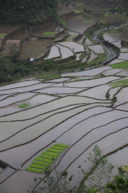 20160216071113_IMG_5251